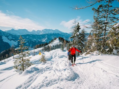 Holiday house EulenNest - Environment photo 40