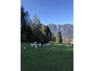 Holiday apartment Katja - Environment photo 24