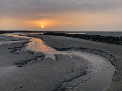 Holiday apartment Appartment 1 Misty - Environment photo 14