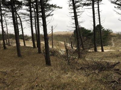 Holiday apartment Appartment 1 Misty - Environment photo 15