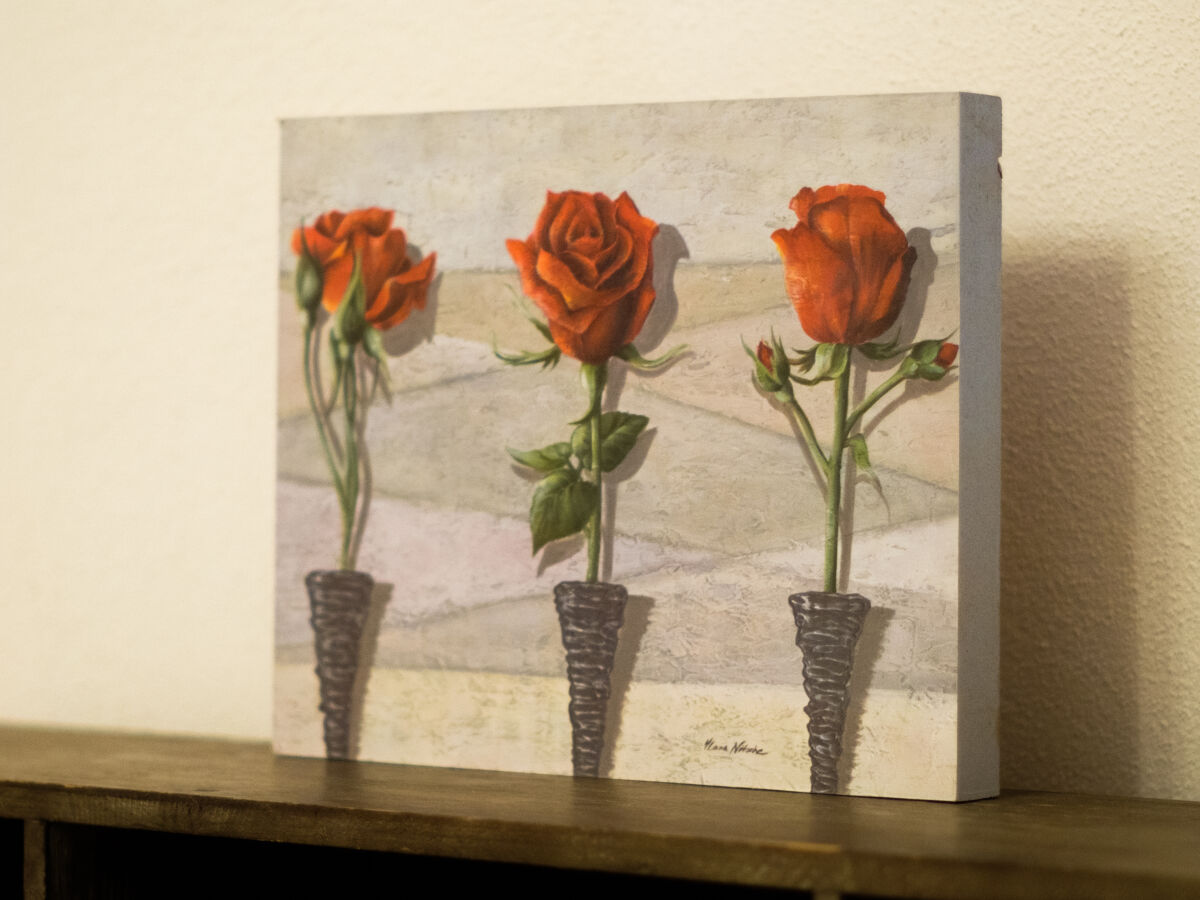 Apartment Ferienhaus Rundturm am Westwall - Features photo 3