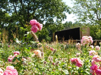 Apartment Aussichtsstube - Environment photo 19