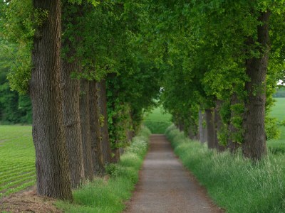 Apartment Aussichtsstube - Environment photo 20