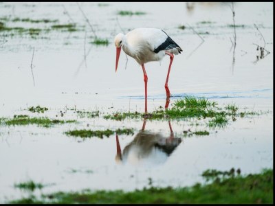 Apartment Aussichtsstube - Environment photo 21