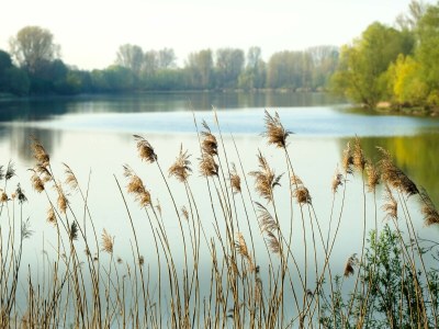Apartment Ferienhaus Pesthäuschen - Environment photo 17