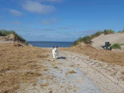 Holiday apartment Ricky - Environment photo 14