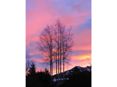 Holiday apartment 1 Guesthaus Moarhof - Environment photo 19