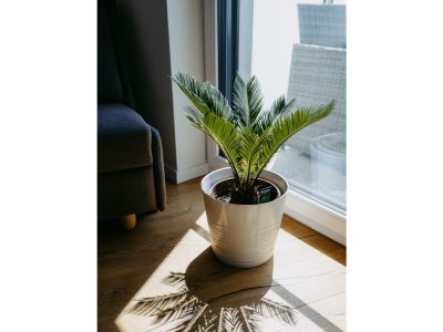 Apartment Appartement/Fewo Jana, Bad, WC, Balkon - Outdoor photo 17