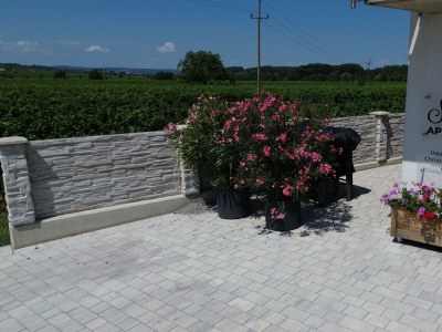 Apartment Appartement/Fewo Jana, Bad, WC, Balkon - Features photo 32