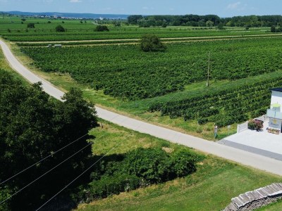 Apartment Appartement/Fewo Jana, Bad, WC, Balkon - Features photo 33