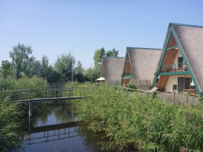 Apartment Ferienhaus mit 3 Doppelbetten in Purbach am Neusiedler See - Apartment