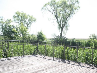 Apartment Ferienhaus mit 3 Doppelbetten - Outdoor photo 12