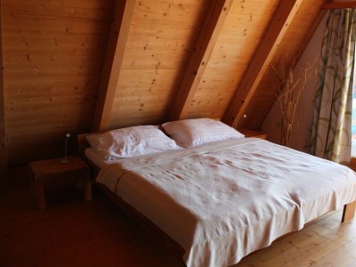 Apartment Ferienhaus mit 3 Doppelbetten - Features photo 17