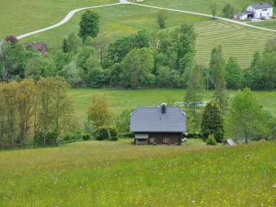 Holiday house Villa Waldfriede - Outdoor photo 10