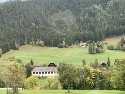 Holiday house Villa Waldfriede - Outdoor photo 11