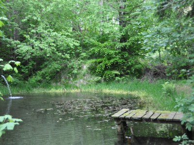 Holiday house Villa Waldfriede - Outdoor photo 12