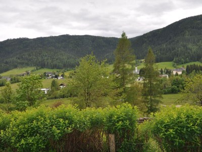 Holiday house Villa Waldfriede - Outdoor photo 13