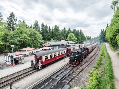 Holiday house Bergwaldlodge Einklang 3 - Environment photo 19