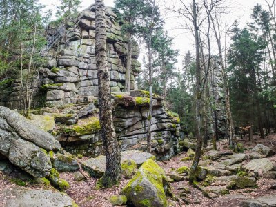 Holiday house Bergwaldlodge Einklang 3 - Environment photo 24