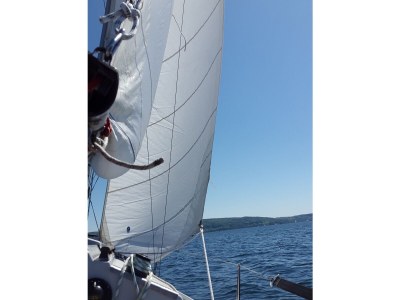 Holiday apartment "Seegarten" - Environment photo 21