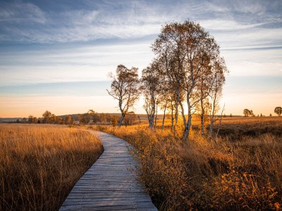Holiday house House Wunschlos Kirchenweg - Environment photo 26