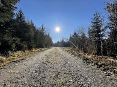 Holiday house House Wunschlos Kirchenweg - Environment photo 27