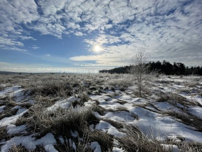 Holiday house House Wunschlos Kirchenweg - Environment photo 28