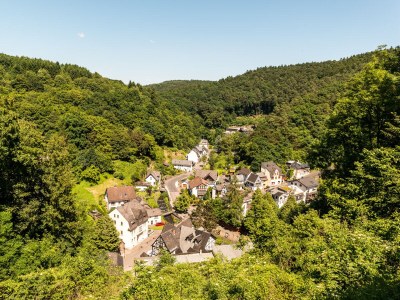 Holiday apartment Fireplace - Environment photo 31