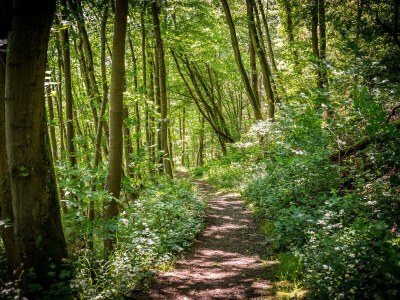 Holiday apartment Fireplace - Environment photo 32