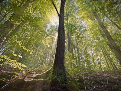 Holiday apartment Fireplace - Environment photo 39