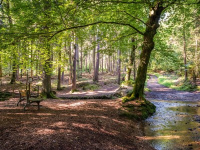 Holiday apartment Fireplace - Environment photo 40