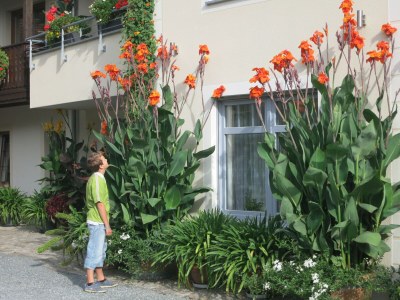 Holiday apartment No title - Outdoor photo 5