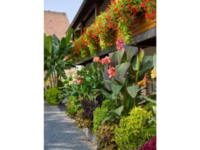 Holiday apartment No title - Outdoor photo 7