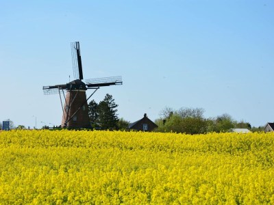 Bungalow Park Welgelegen MB 40 - Environment photo 18