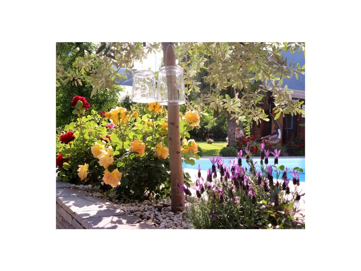 Holiday apartment KrÃ¶sshof - Outdoor photo 3