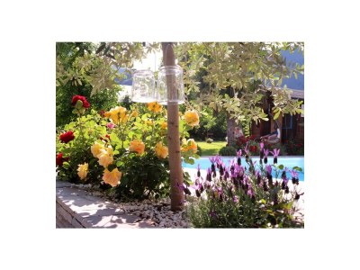 Holiday apartment KrÃ¶sshof - Outdoor photo 3