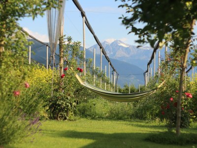 Holiday apartment KrÃ¶sshof - Outdoor photo 10