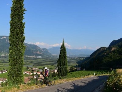 Holiday apartment KrÃ¶sshof - Environment photo 21