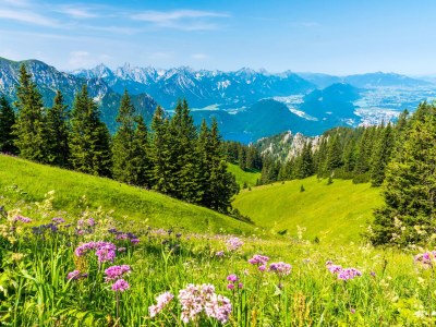 Holiday apartment Löwen Suites 1 - Environment photo 37