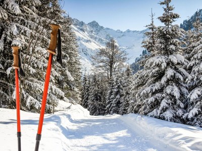 Holiday apartment Löwen Suites 1 - Environment photo 40