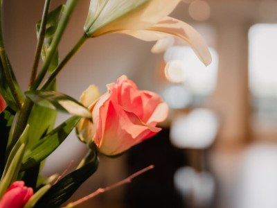 Holiday apartment Waddenzee - Features photo 12