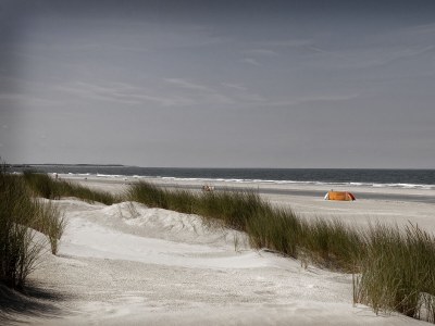 Holiday apartment Waddenzee - Environment photo 18