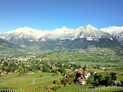 Holiday apartment Meranerblick Panorama Apartment, Hafling - Environment photo 16