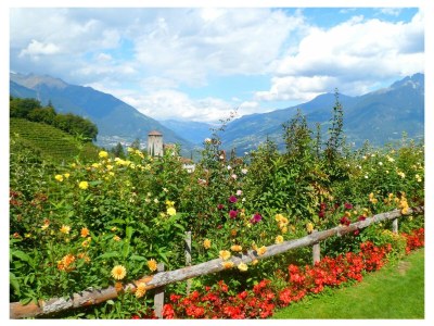 Holiday apartment Meranerblick Panorama Apartment, Hafling - Environment photo 20