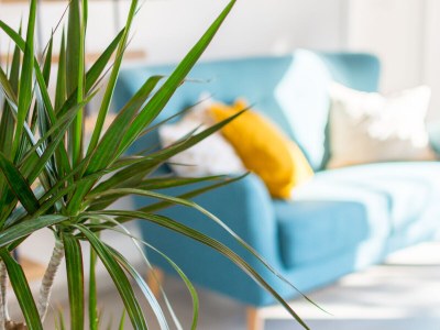 Holiday house Fairytale Cottage - Features photo 16