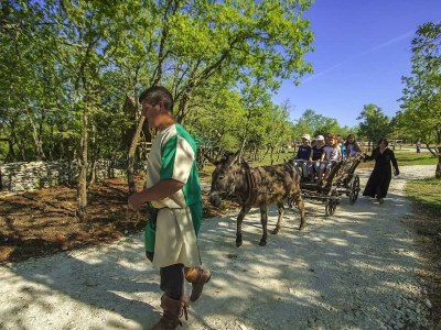 Holiday house Fairytale Cottage - Environment photo 26