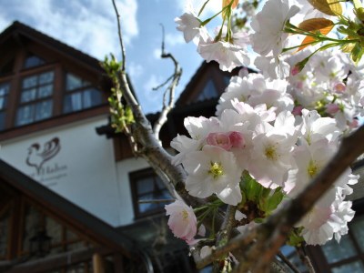 Holiday apartment Wellness Familie Suite - Outdoor photo 6