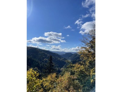 Holiday apartment Wellness Familie Suite - Environment photo 40