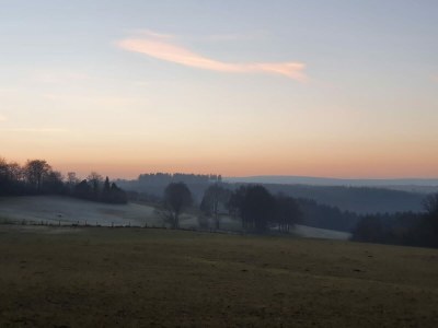 Holiday house Eifel Oasis - Environment photo 22