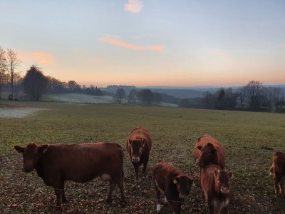 Holiday house Eifel Oasis - Environment photo 23